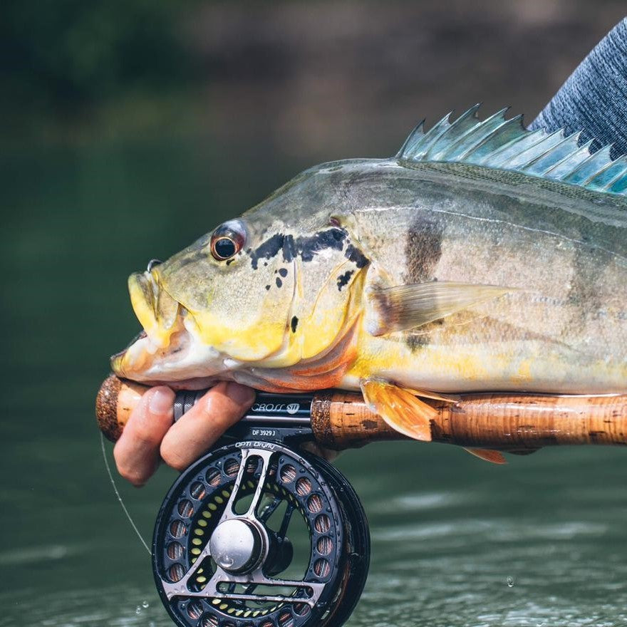 STRAITS FLY SHOP