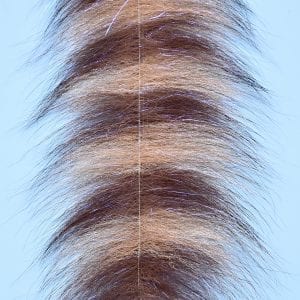 EP Sommerlatte's Grizzly Foxy Brush