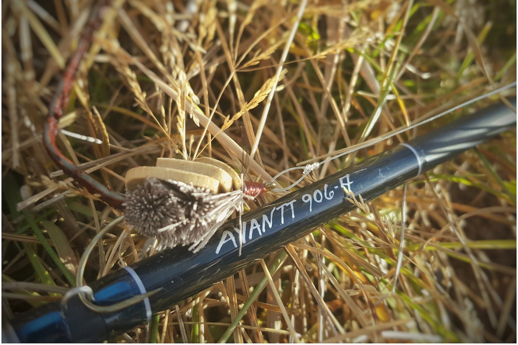 Thomas and Thomas Avantt Fly Rod