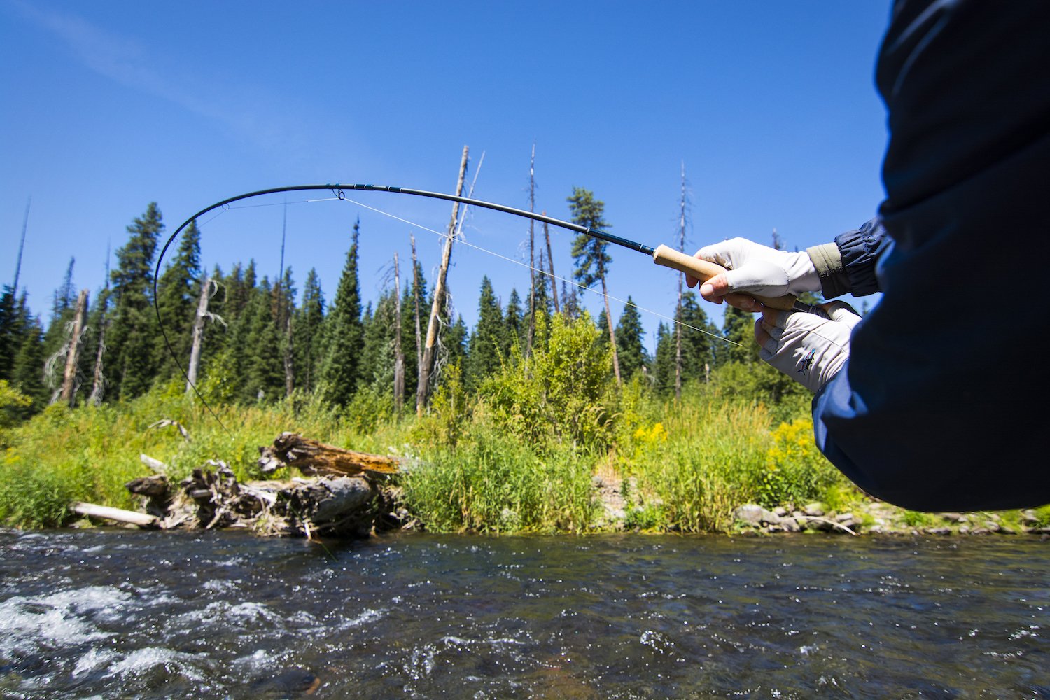 Thomas and Thomas Avantt Fly Rod
