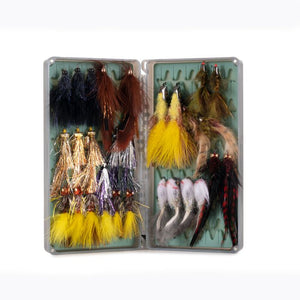 Tacky Big Bug Box