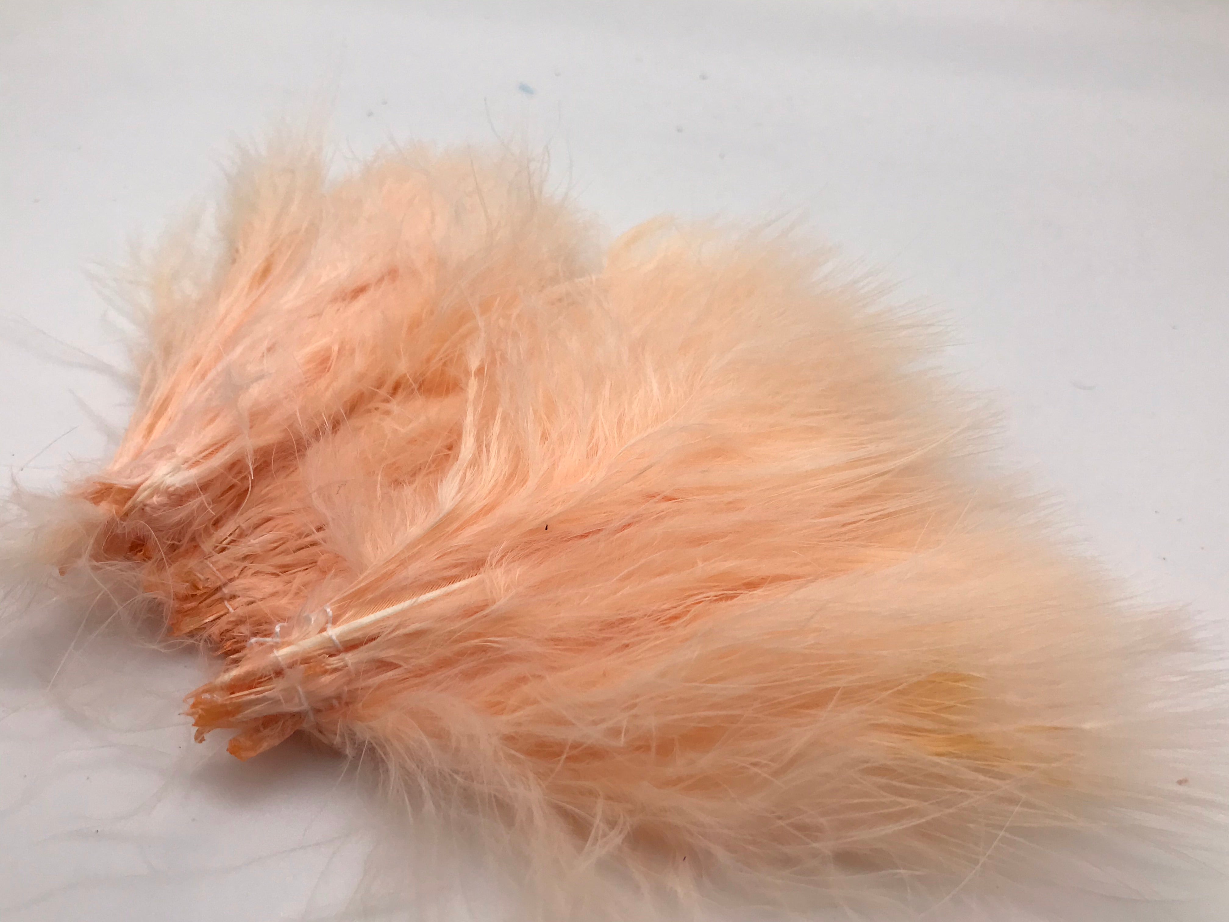Marabou
