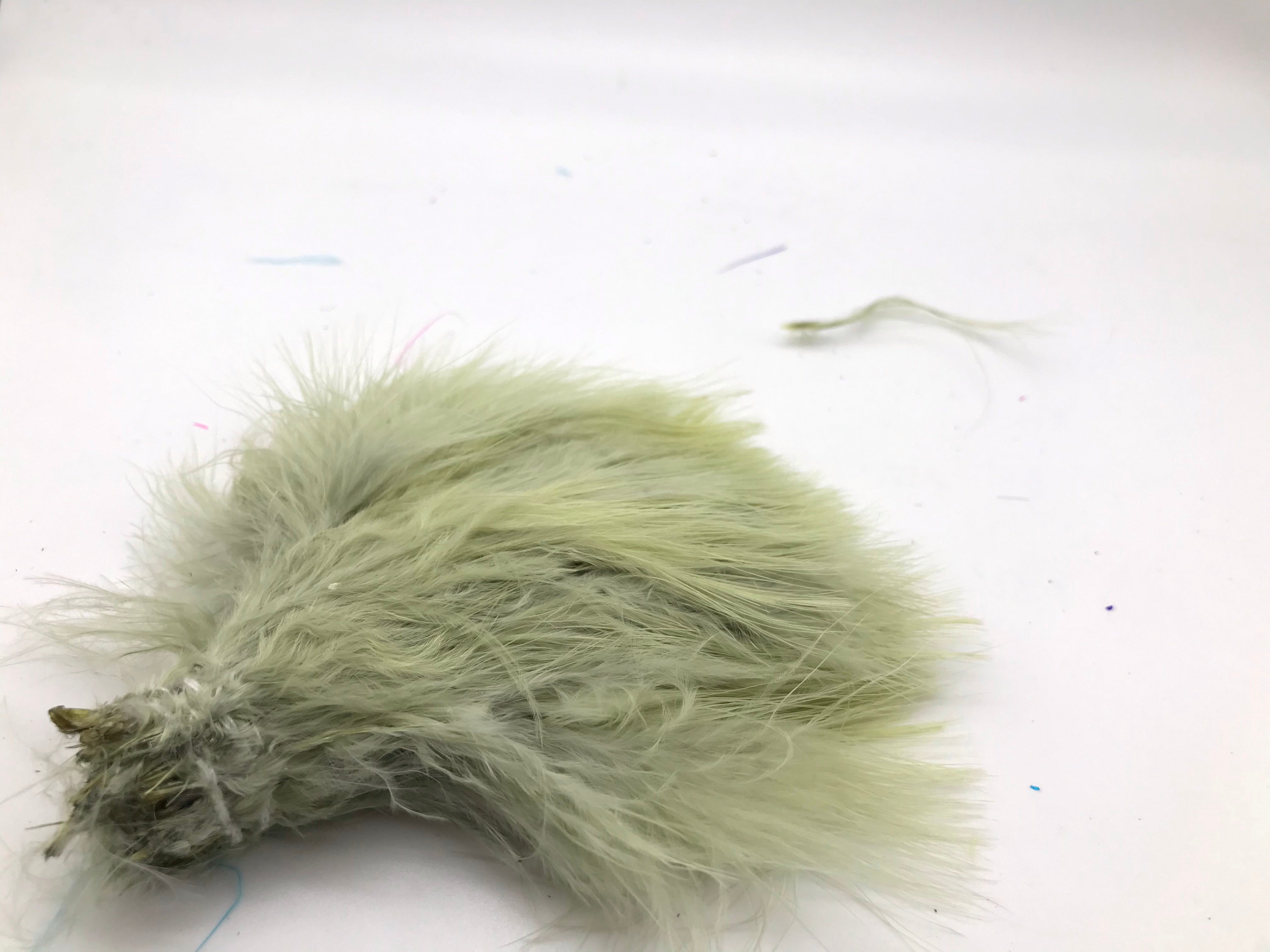 Marabou