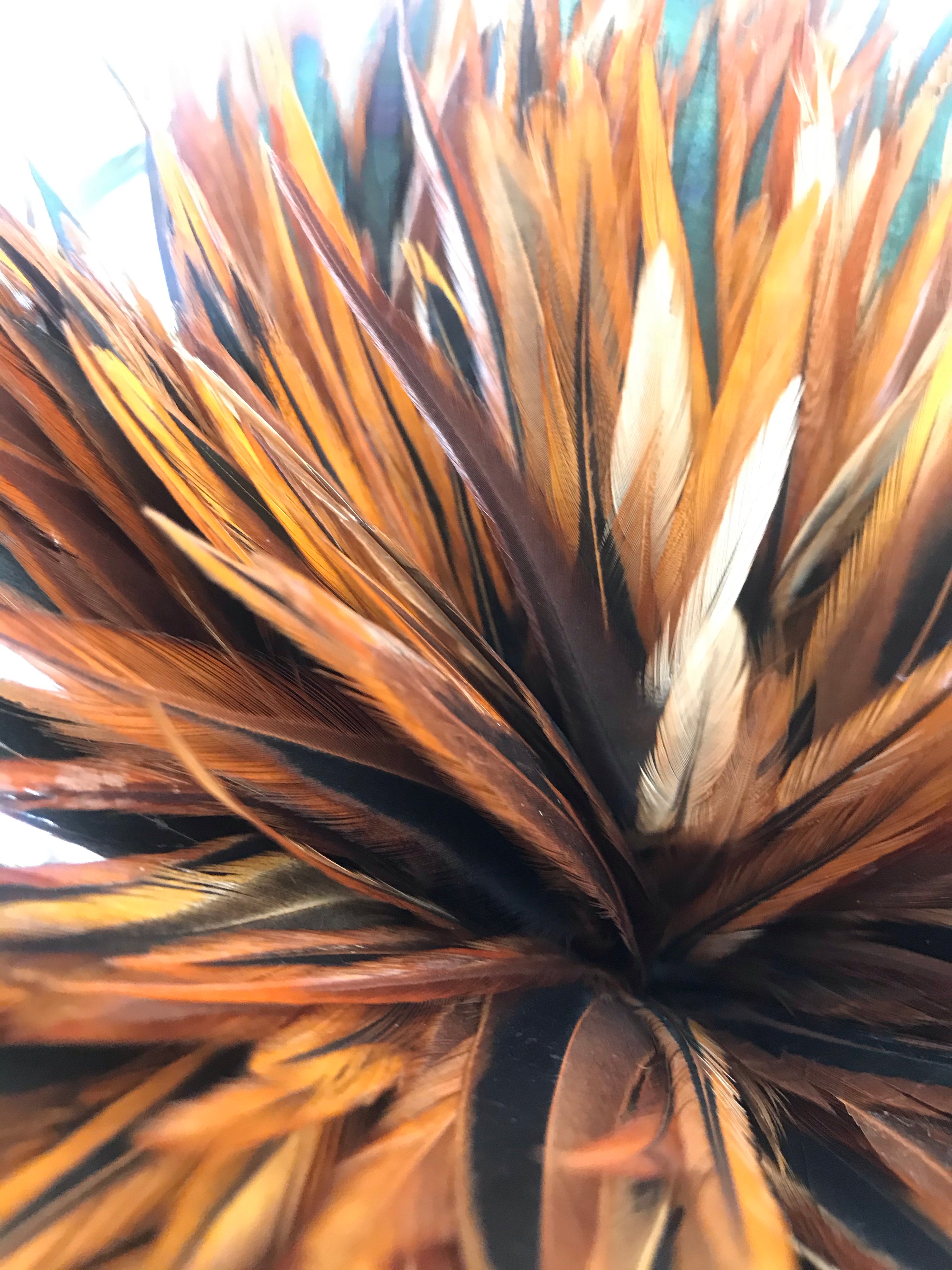 Saddle Hackles