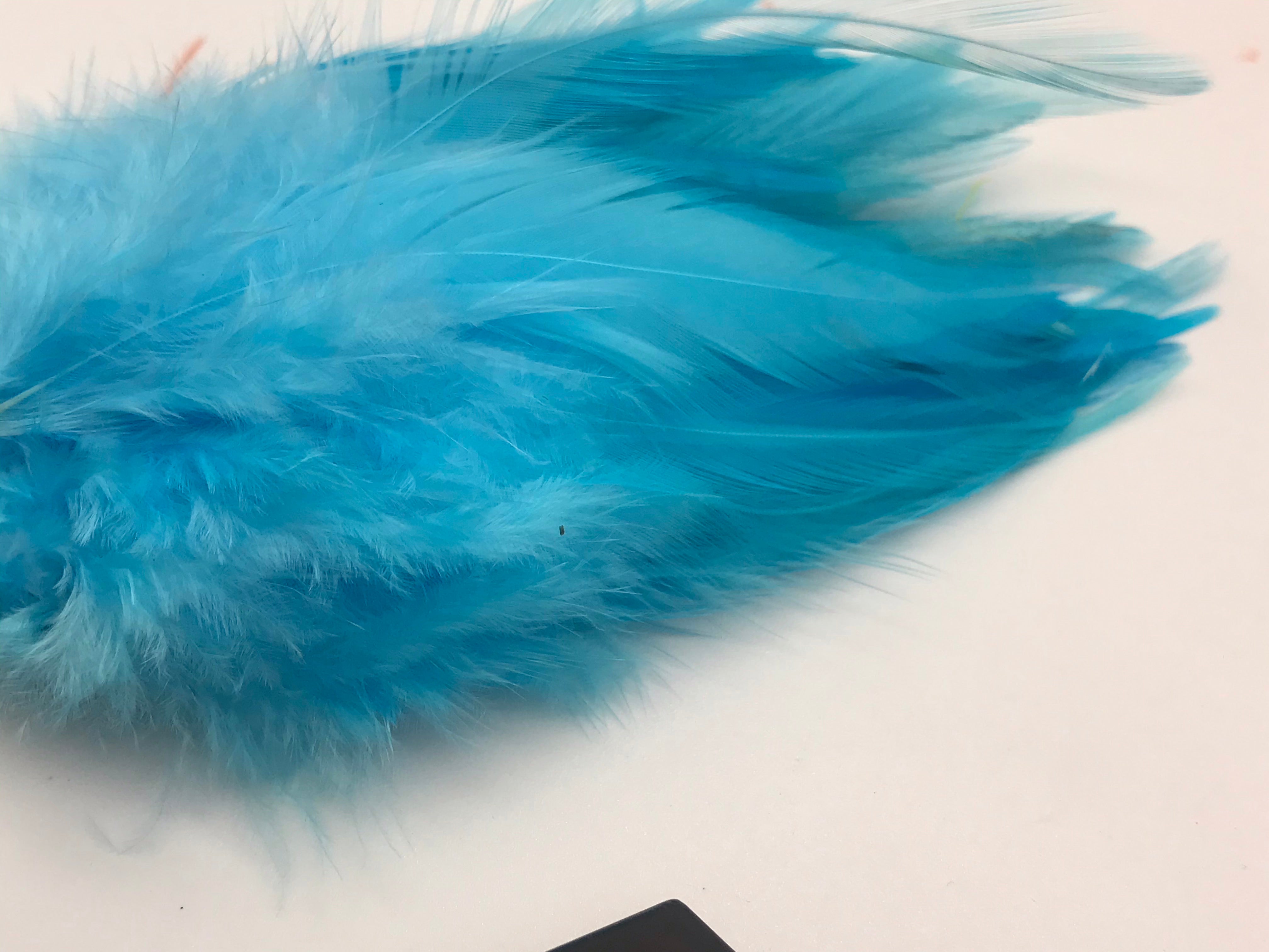 Saddle Hackles