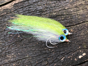 Profile Baitfish