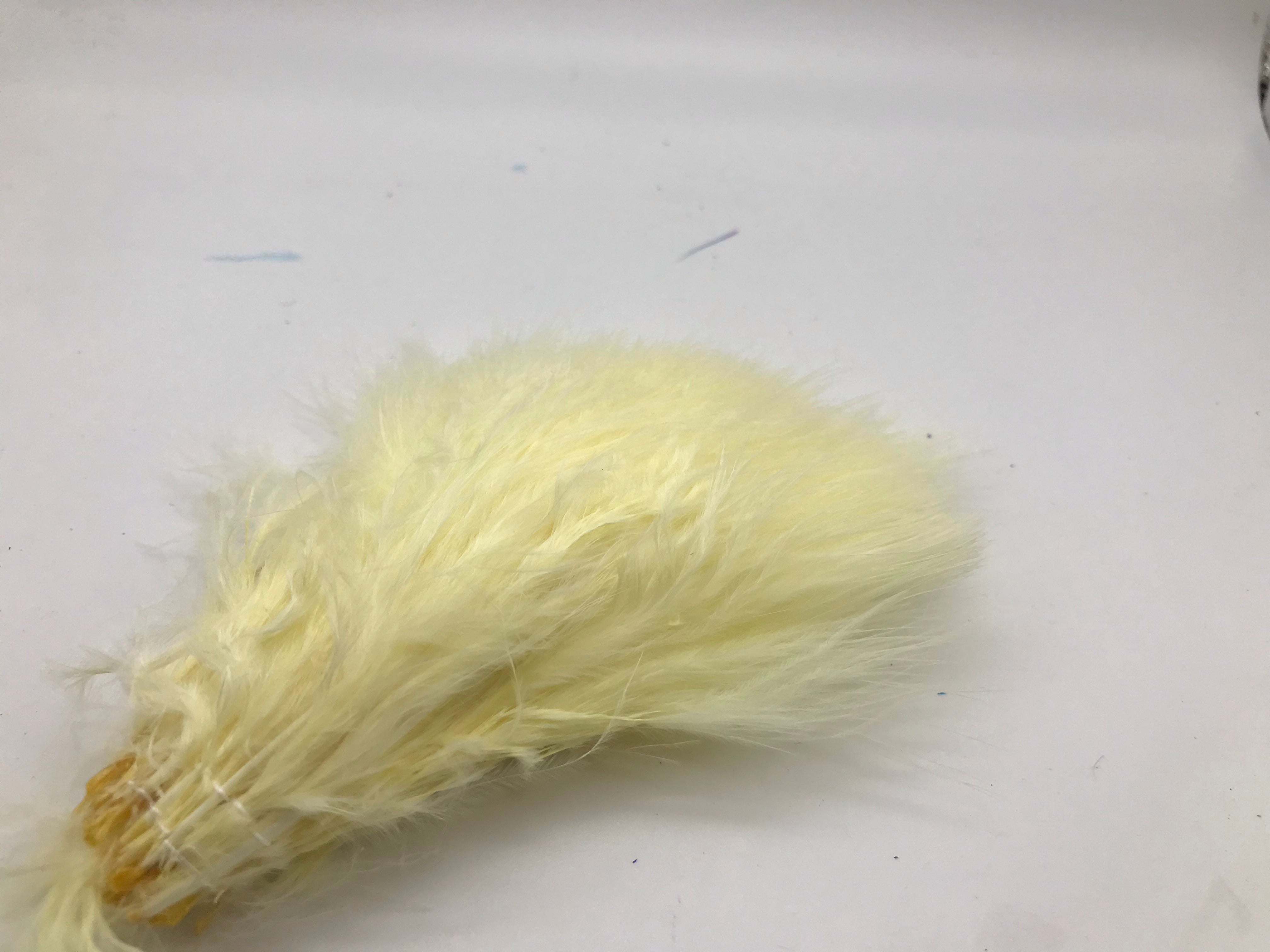 Marabou