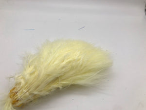 Marabou