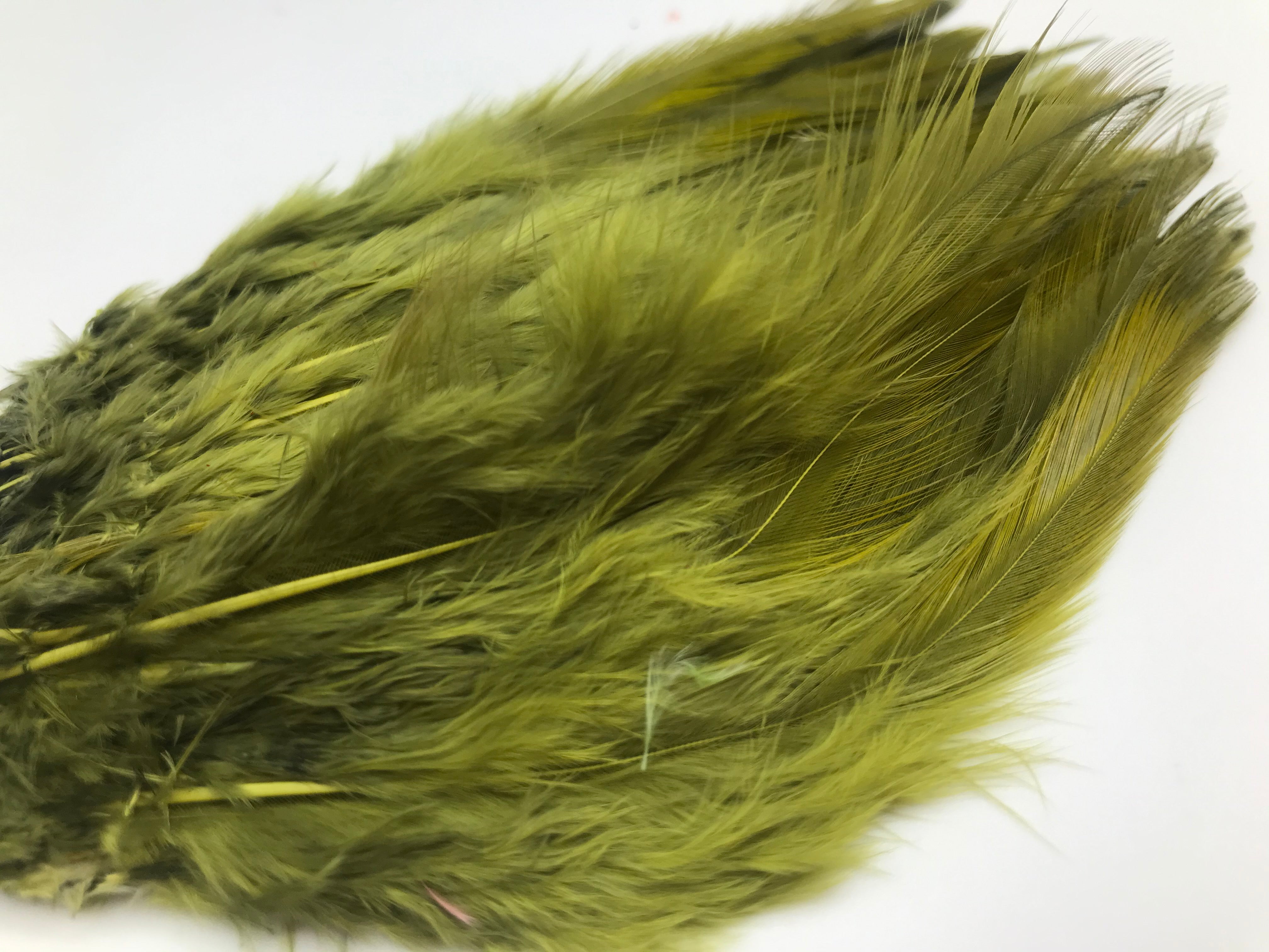 Saddle Hackles