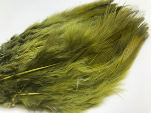 Saddle Hackles