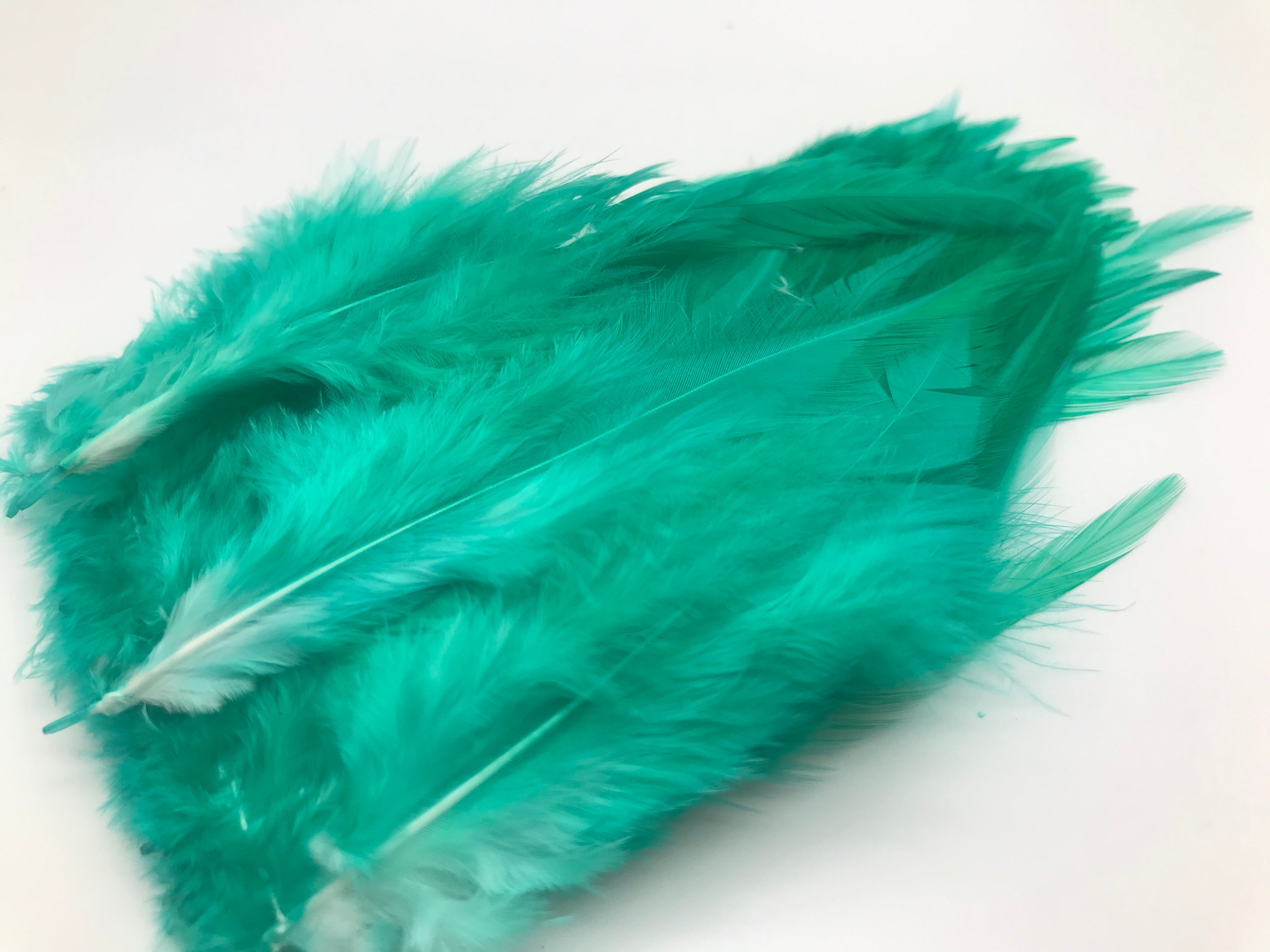 Saddle Hackles