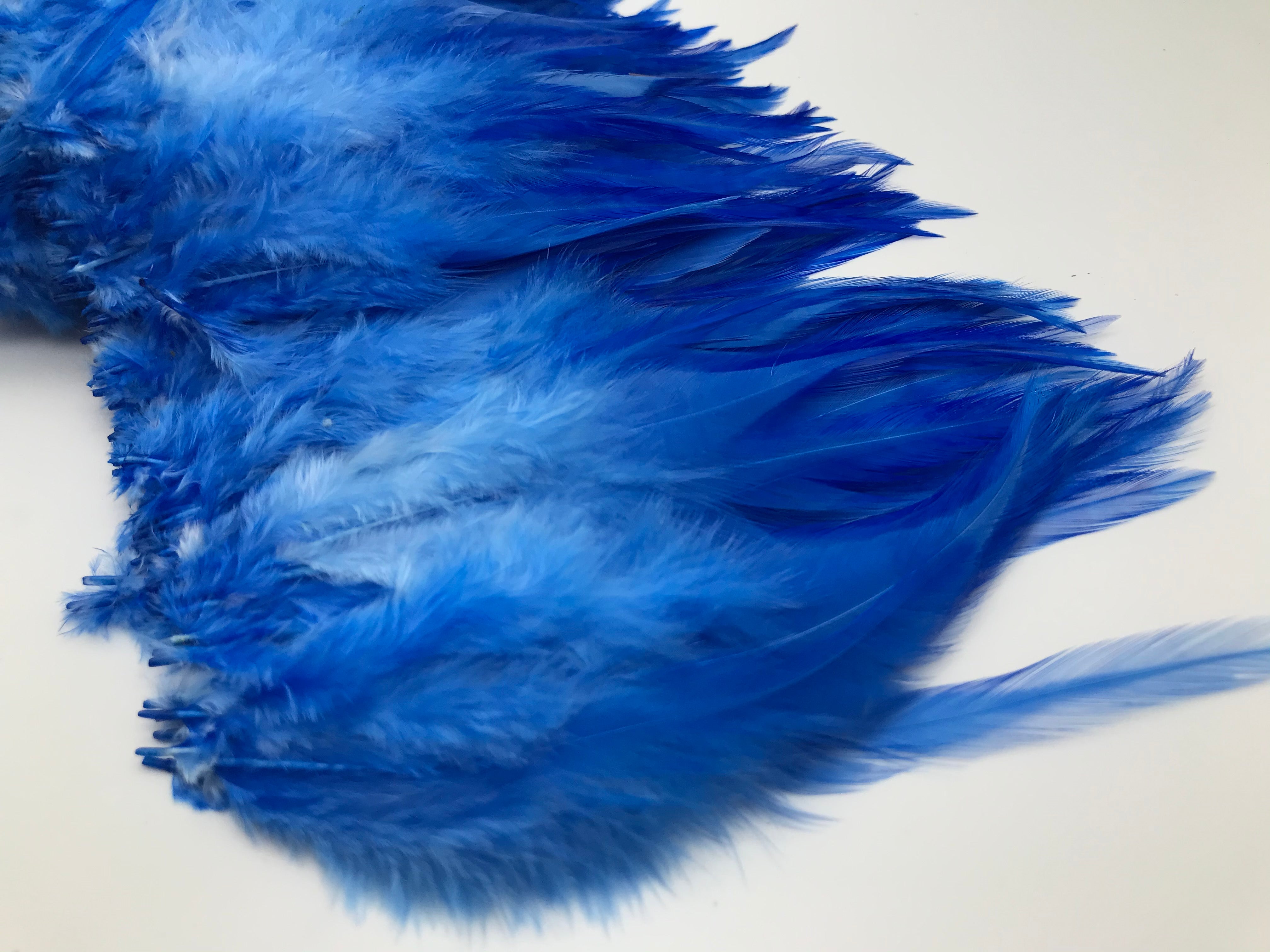 Saddle Hackles