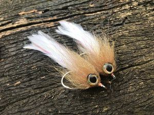 Brush Flies