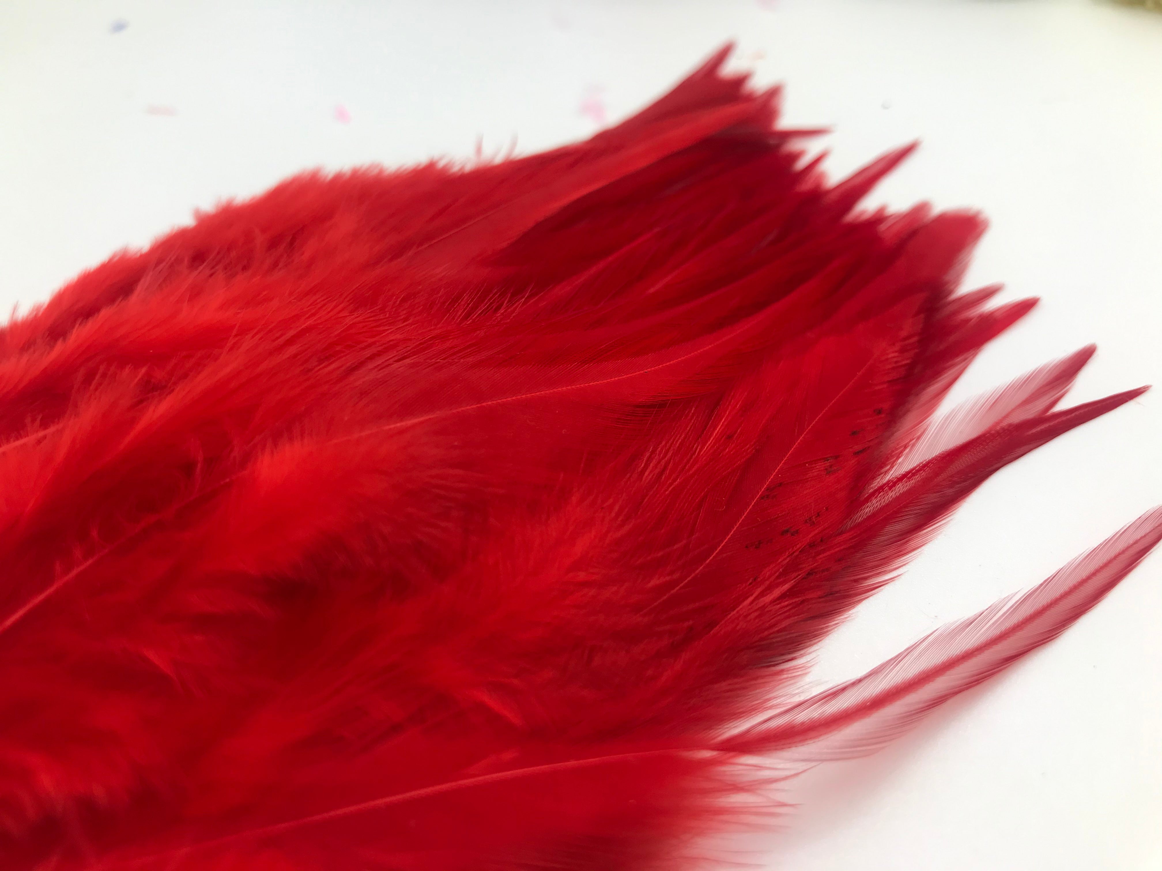 Saddle Hackles
