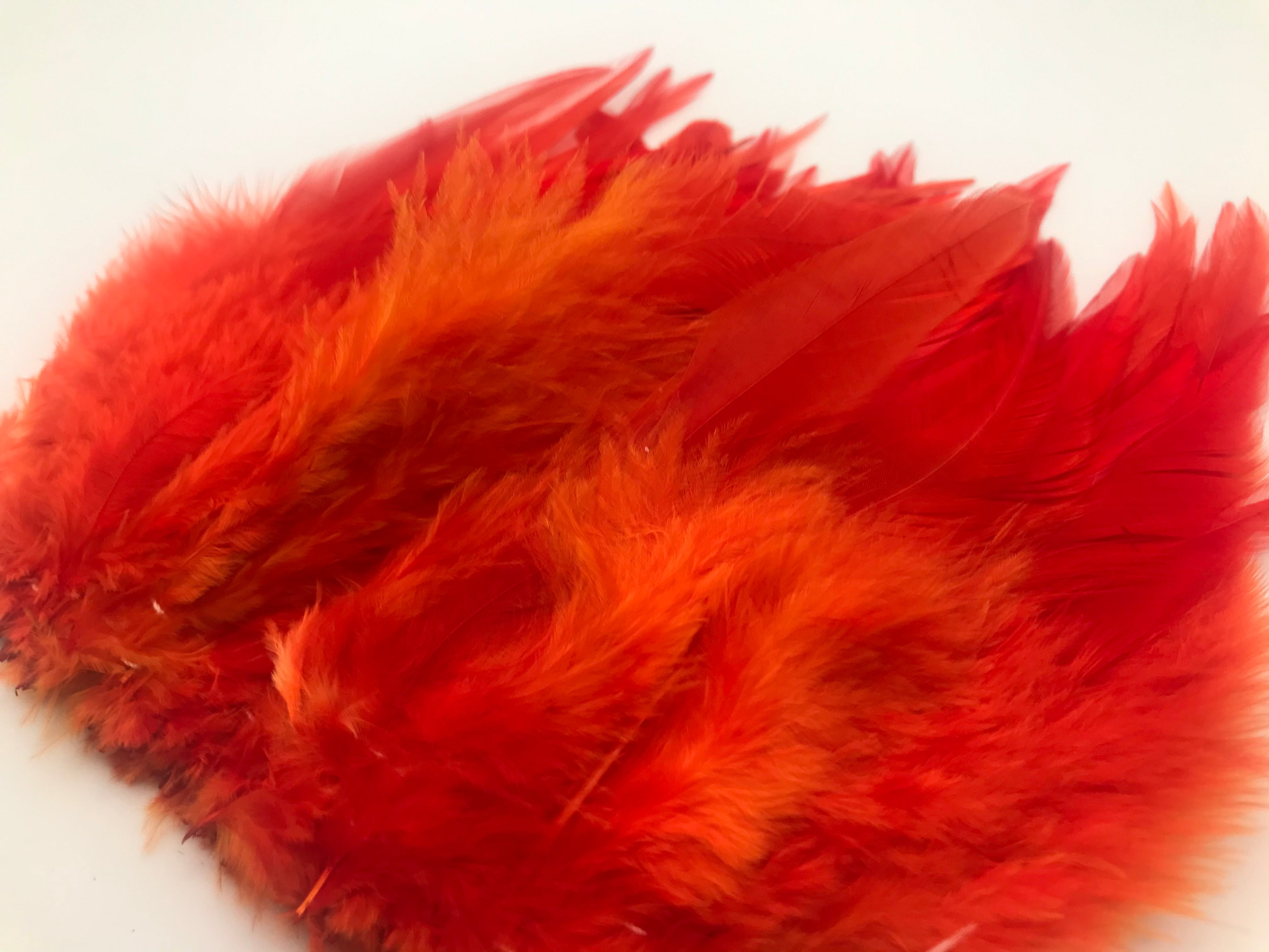 Saddle Hackles