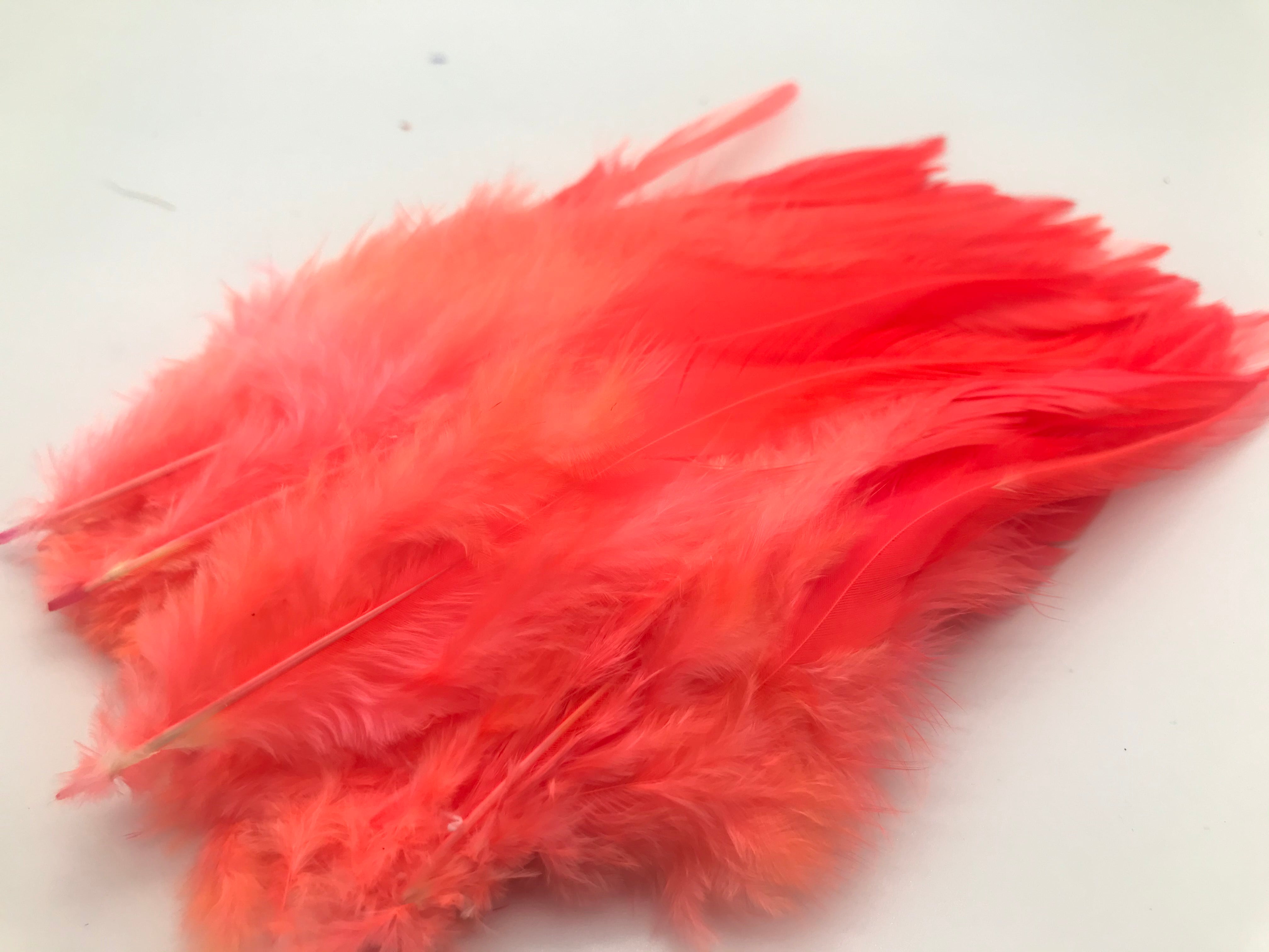 Saddle Hackles