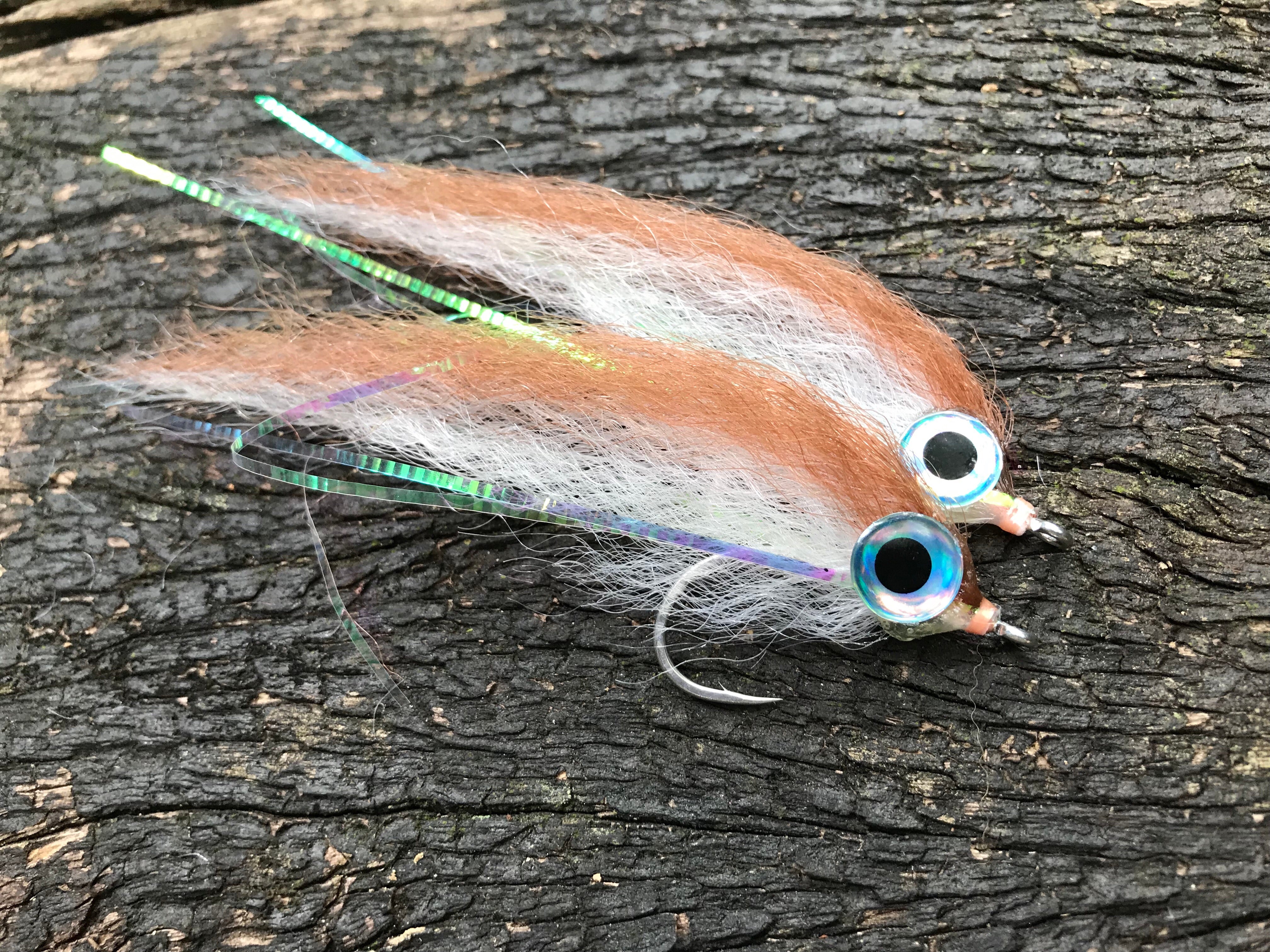 Profile Baitfish